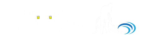 Dampfreiniger Logo